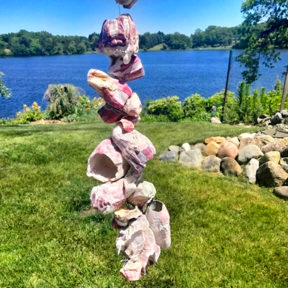 Shell decor Barnacle cluster art. Beach art - Picture 8 of 15